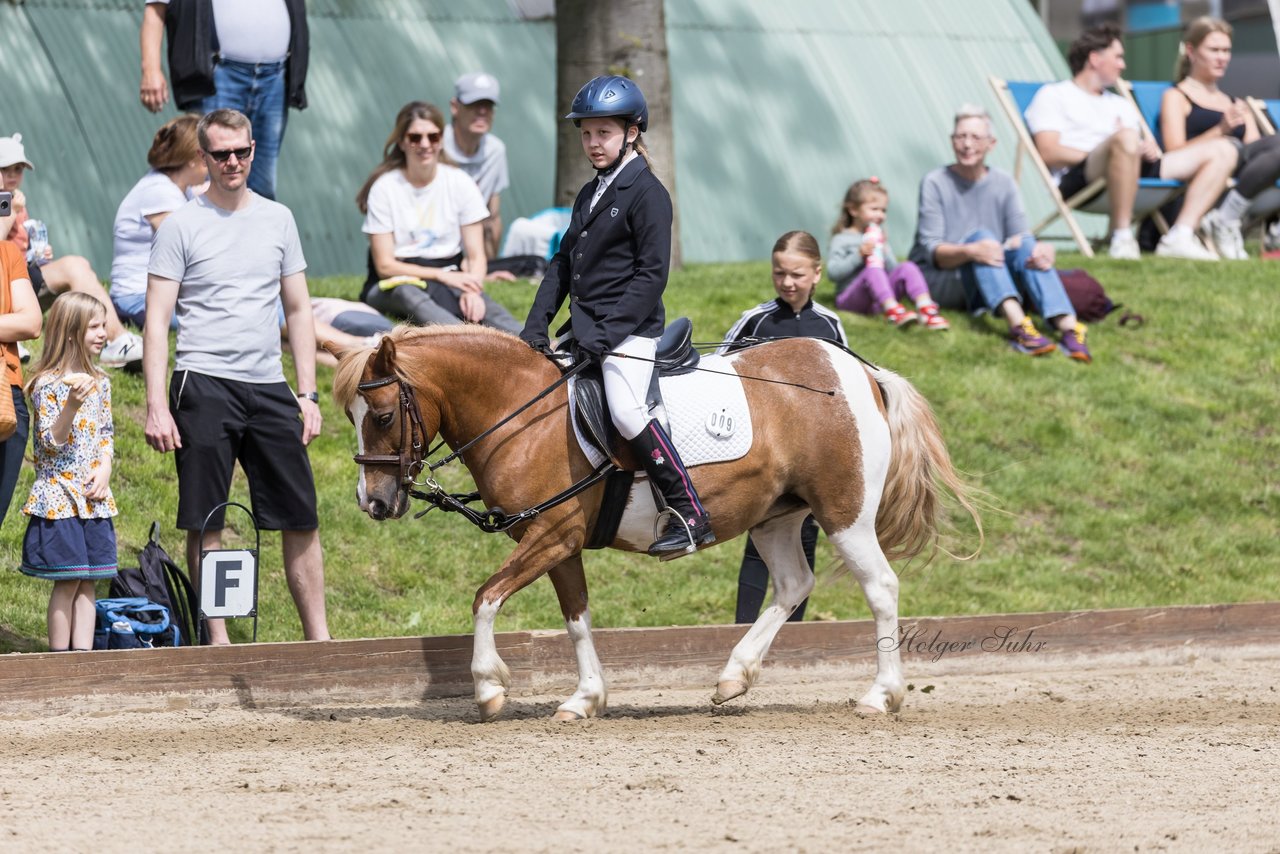 Bild 65 - Pony Akademie Turnier